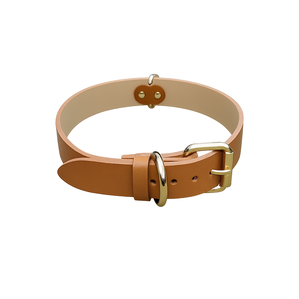 Collar Clásico de Cuero Genuino – Edición Premium
