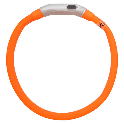 Collar LED Recargable USB-C para Perros – Silicona Ajustable (40 cm / 55 cm) • 4 Modos de Luz • Resistente al Agua IPX4