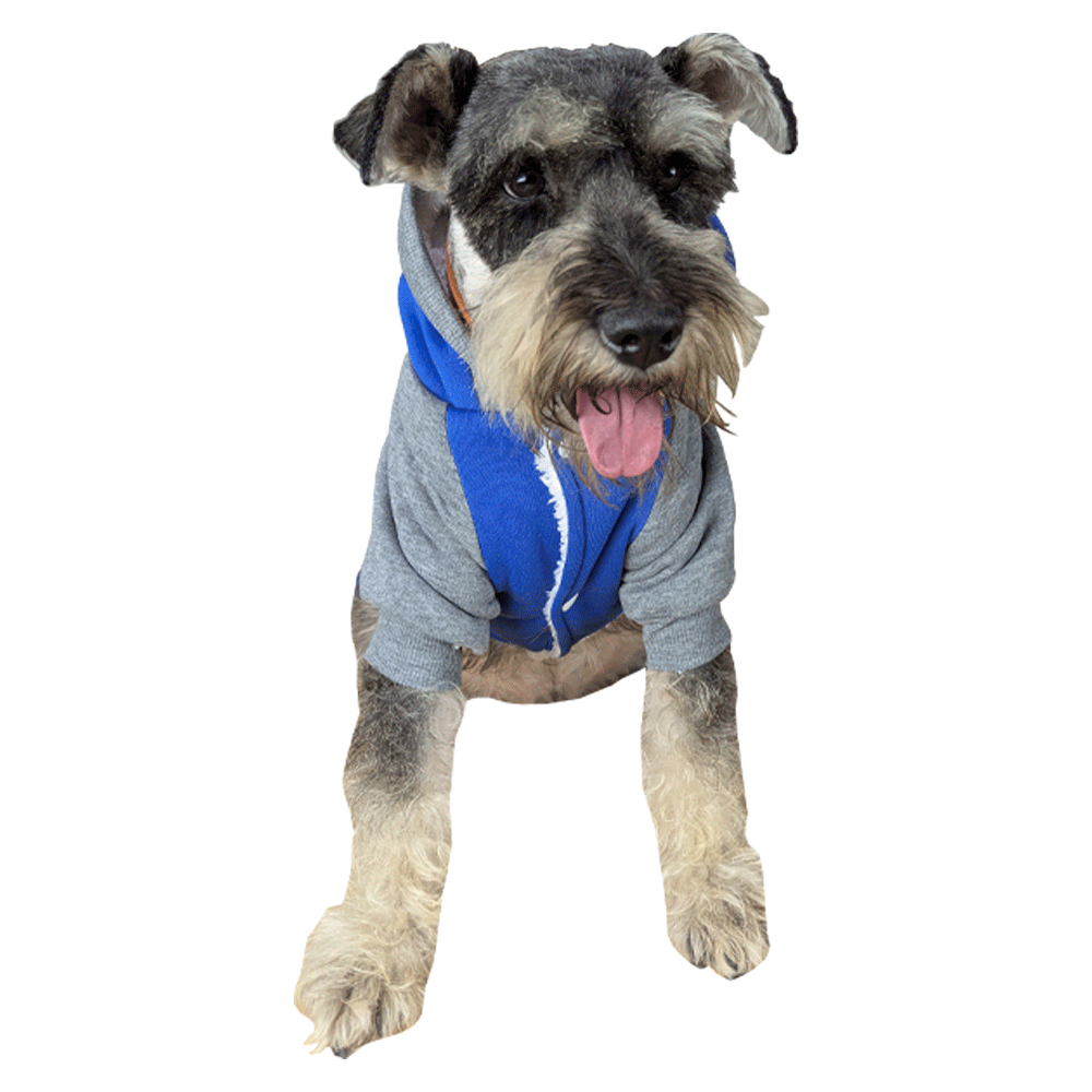Ropa para Mascotas - Tipo Pijama