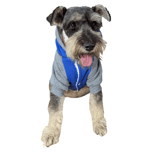 Ropa para Mascotas - Tipo Pijama