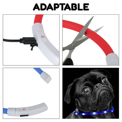 Collar LED Recargable USB-C para Perros – Silicona Ajustable (40 cm / 55 cm) • 4 Modos de Luz • Resistente al Agua IPX4